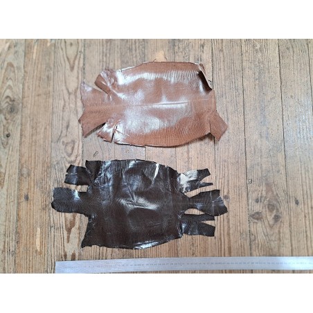 Lot de 2 peaux de cuir de lézard - B - Cuirenstock