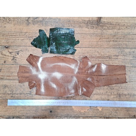 Lot de 2 peaux de cuir de lézard - B - Cuirenstock