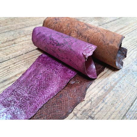 2 peaux uniques - Cabillaud - Cuir en Stock