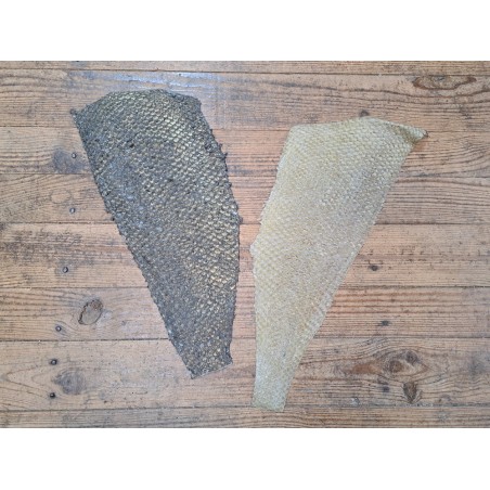 2 peaux uniques - Perche du Nil - A - Cuir en Stock