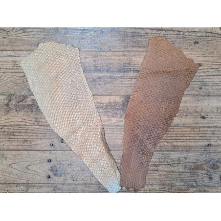 2 peaux uniques - Perche du Nil - E - Cuir en Stock