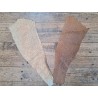 2 peaux uniques - Perche du Nil - E - Cuir en Stock