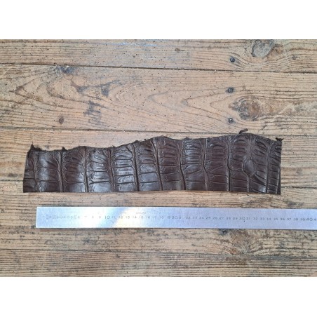 Queue de crocodile - Marron mat - Cuir en Stock