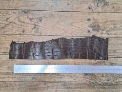 Queue de crocodile - Marron mat - Cuir en Stock