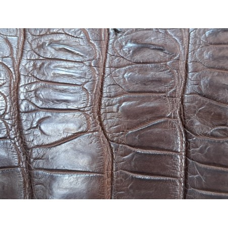 Queue de crocodile - Marron mat - Cuir en Stock
