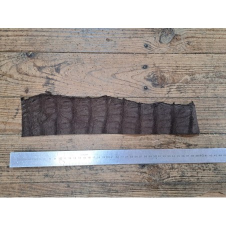 Queue de crocodile - Marron mat - Cuir en Stock