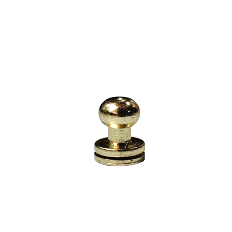 Lot de 5 boutons de col finition LAITON - Standard - Cuir en Stock