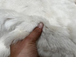 Peau de mouton lainé - CHOIX ÉCART - D - Cuir en Stock