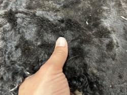 Peau de mouton lainé - CHOIX ÉCART - A - Cuir en Stock