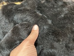 Peau de mouton lainé - CHOIX ÉCART - G - Cuir en Stock