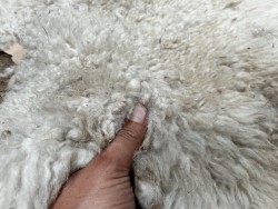 Peau de mouton lainé - CHOIX ÉCART - I - Cuir en Stock