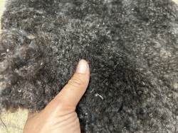 Peau de mouton lainé - CHOIX ÉCART - J - Cuir en Stock