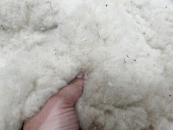 Peau de mouton lainé beige - CHOIX ÉCART - K - Cuir en Stock
