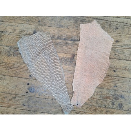 2 peaux uniques - Perche du Nil - C - Cuir en Stock