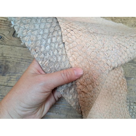 2 peaux uniques - Perche du Nil - C - Cuir en Stock