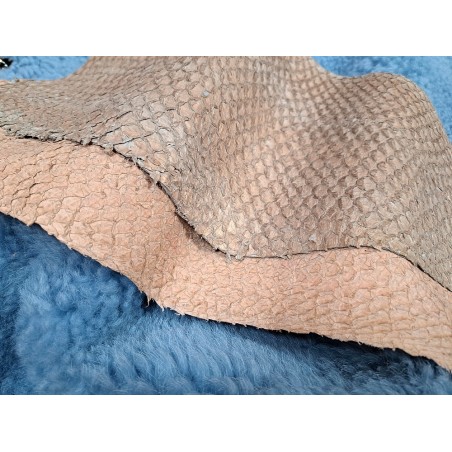 2 peaux uniques - Perche du Nil - C - Cuir en Stock
