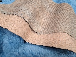 2 peaux uniques - Perche du Nil - C - Cuir en Stock