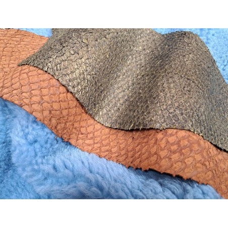 2 peaux uniques - Perche du Nil - E - Cuir en Stock