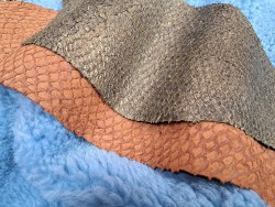 2 peaux uniques - Perche du Nil - E - Cuir en Stock