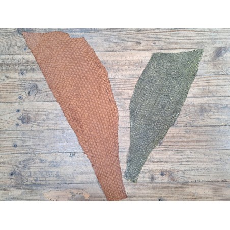 2 peaux uniques - Perche du Nil - E - Cuir en Stock