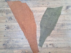 2 peaux uniques - Perche du Nil - E - Cuir en Stock