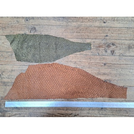 2 peaux uniques - Perche du Nil - E - Cuir en Stock
