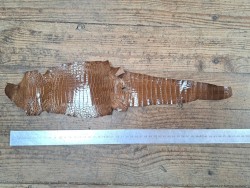 Peau de cuir de crocodile véritable - Brun - Cuir en Stock