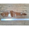 Peau de cuir de crocodile véritable - Brun - Cuir en Stock