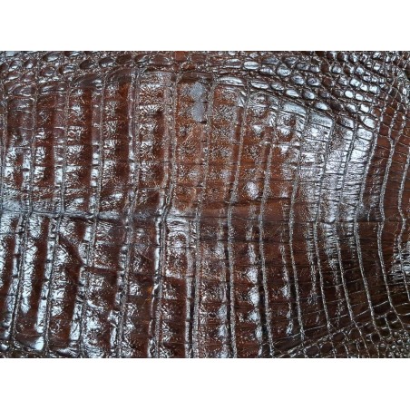 Peau de cuir de crocodile véritable - Marron - Cuir en Stock