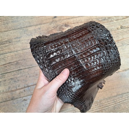 Peau de cuir de crocodile véritable - Marron - Cuir en Stock