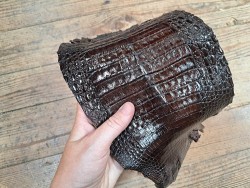 Peau de cuir de crocodile véritable - Marron - Cuir en Stock