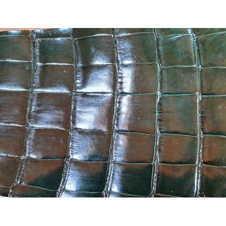 Morceau de cuir crocodile véritable - vert forêt - cuirenstock