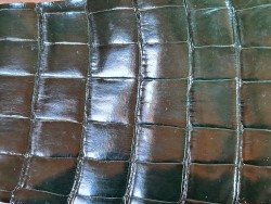 Morceau de cuir crocodile véritable - vert forêt - cuirenstock