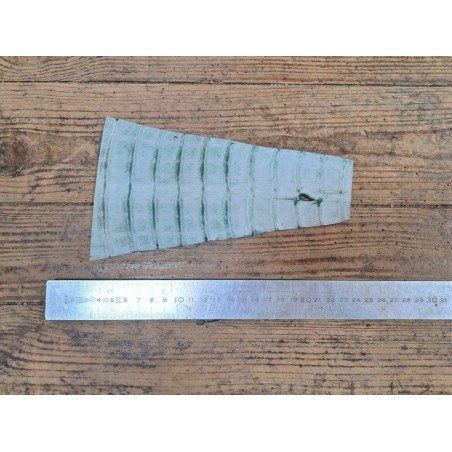 Peau de crocodile vert forêt - Cuir en Stock