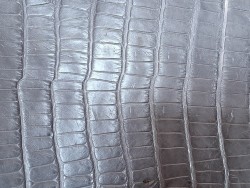 Queue de crocodile - Gris mat - bijoux et accessoires - Cuir en Stock