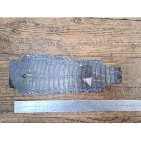 Queue de crocodile - Gris mat - bijoux et accessoires - Cuir en Stock