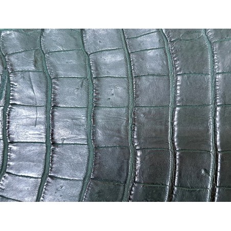 Queue de crocodile véritable - Vert mat - Cuir en Stock