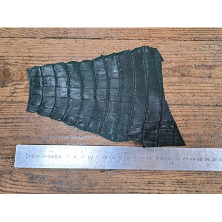 Queue de crocodile véritable - Vert mat - Cuir en Stock