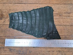 Queue de crocodile véritable - Vert mat - Cuir en Stock