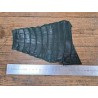 Queue de crocodile véritable - Vert mat - Cuir en Stock