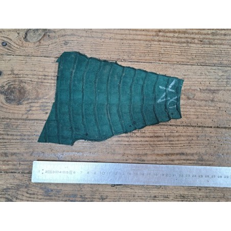 Queue de crocodile véritable - Vert mat - Cuir en Stock