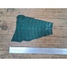 Queue de crocodile véritable - Vert mat - Cuir en Stock
