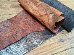 Lot de 2 peaux uniques - Cabillaud - cuir de poisson véritable - Cuir en Stock