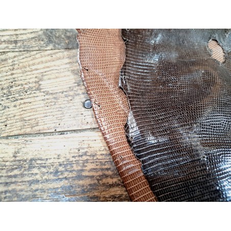 Peau de cuir de lezard - véritable - Cuir en stock