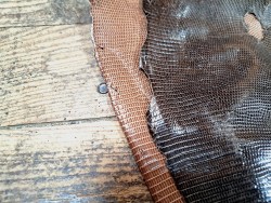 Peau de cuir de lezard - véritable - Cuir en stock