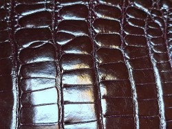 Peau de crocodile bordeaux - Cuir en Stock