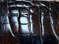 Peau de crocodile véritable - Noir - Cuir en Stock