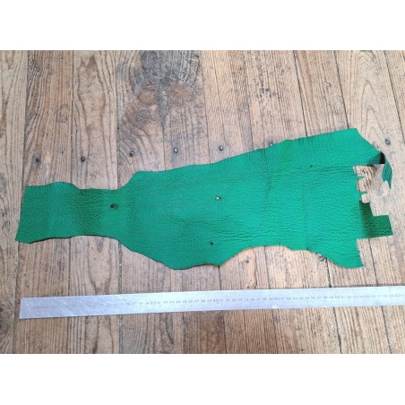Morceau de cuir de requin - Vert menthe - maroquinerie - Cuir en Stock