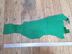 Morceau de cuir de requin - Vert menthe - maroquinerie - Cuir en Stock