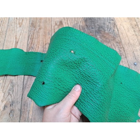 Morceau de cuir de requin - Vert menthe - maroquinerie - Cuir en Stock